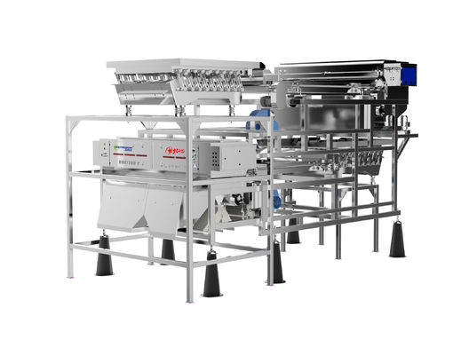 Qualität  Customized Fruit Sorting Machine Belt Type 1.0-1.5T/H Blueberry Color Sorter usine
