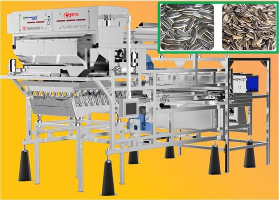 3-3.5 t/h Nuts Color Sorter Belt Type Sunflower Seed Sorting Machine Auto Dust Cleaning