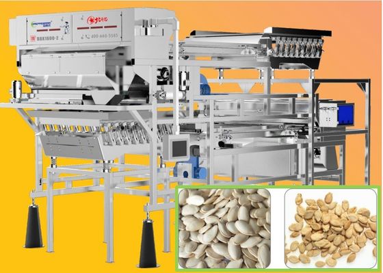 Pumpkin Seed / Nuts Color Sorter Machine 99.9% Accuracy 220V 50Hz with SMC Filter