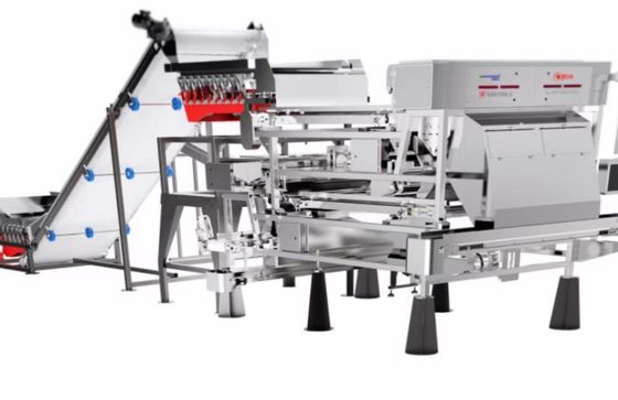 Mit hohem Ausschuss 4 - 7 t-/hgurt-Art Plastikfarbsortierer